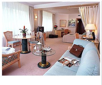 ����� Sofitel Thalassa Vichy Les Celestins, ����
