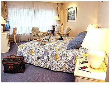 ����� Sofitel Thalassa Vichy Les Celestins, ����