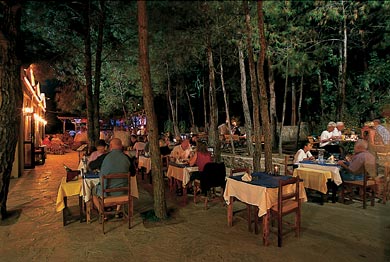 ����� Pine Valley, ����