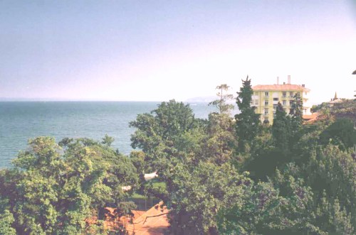 ����� Bristol, ����