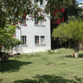 ����� Club Hedi Maya, ����